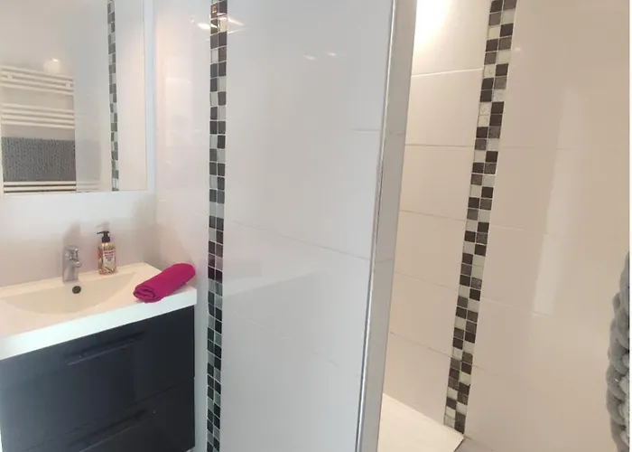 Superbe Appartement Aucamville